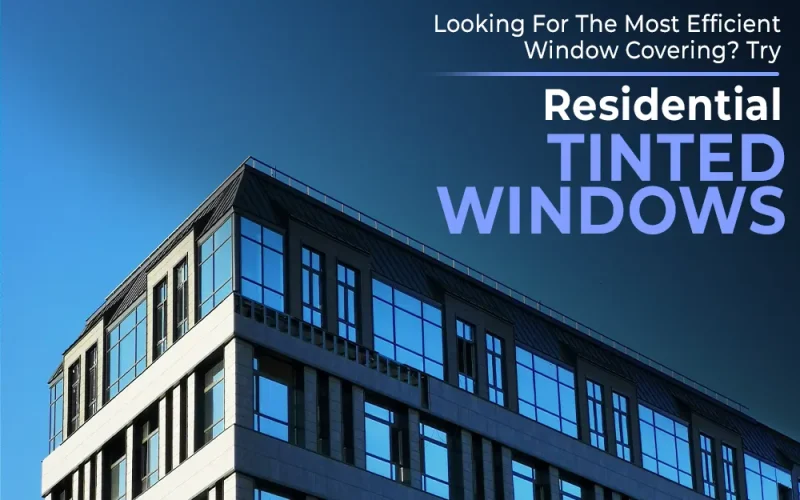 residential tinted windows - Nuview
